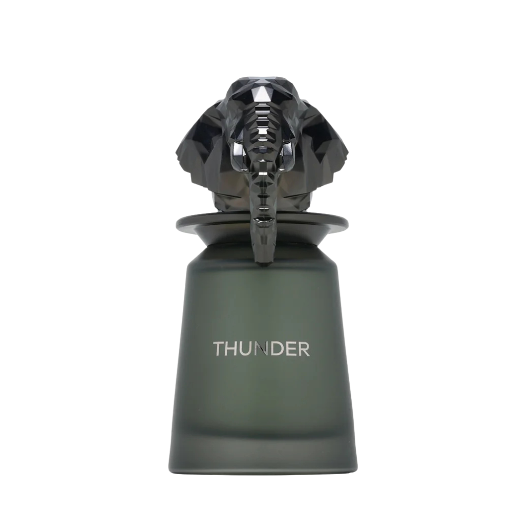 French Avenue Thunder Eau De Parfum 100ml Spray